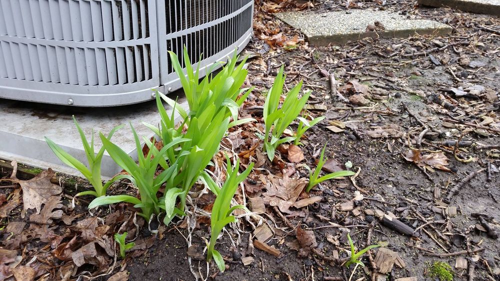 Photo of Action Heating & Air Conditioning
