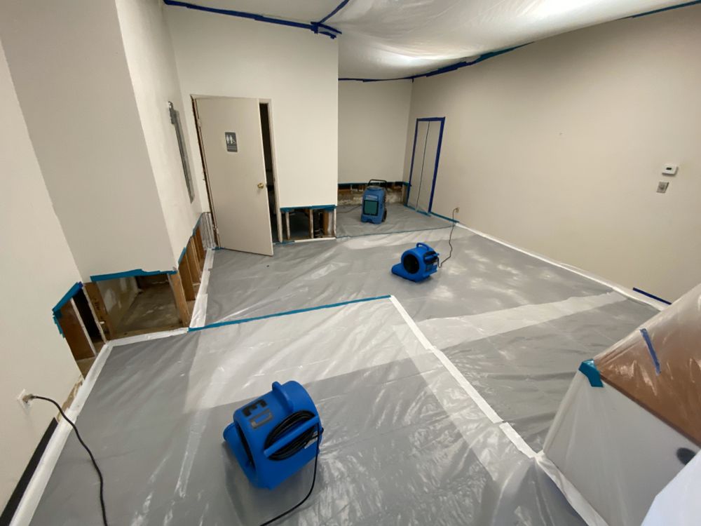 Photo of Express Dry Restoration