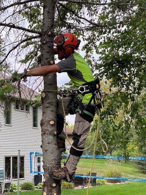 Photo of A + A Tree & Landscaping