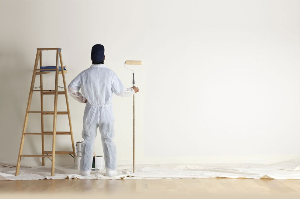 Photo of NAPO Paint