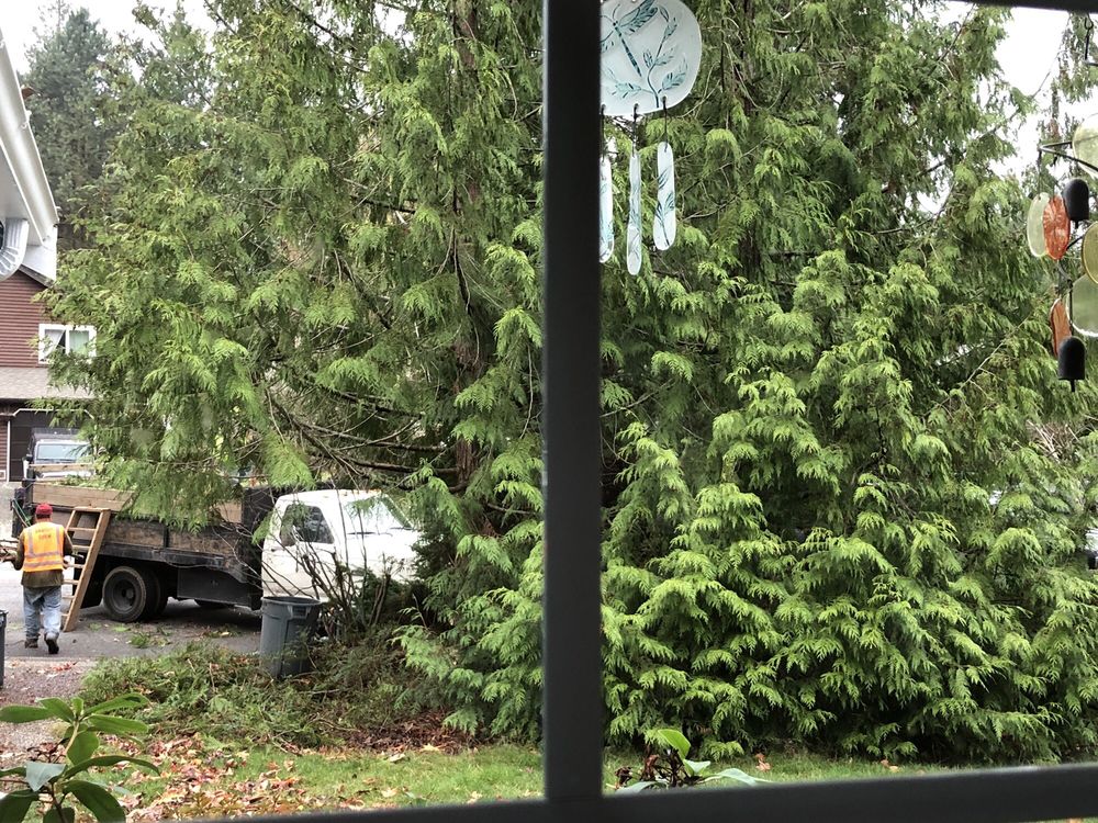 Photo of Perfecto's Landscaping