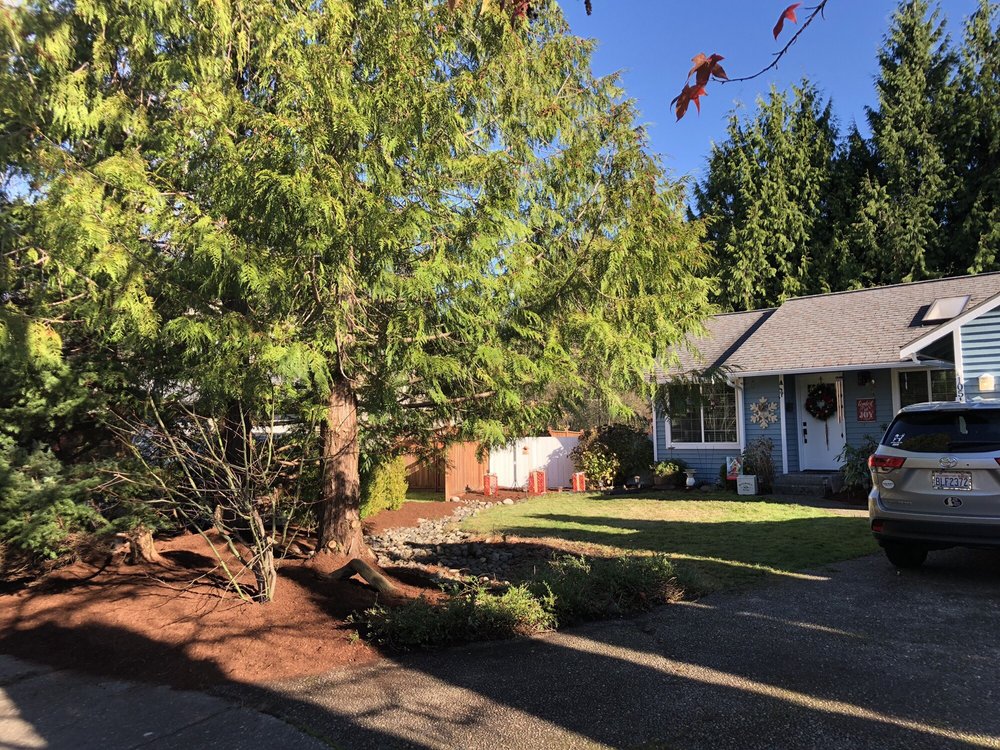 Photo of Perfecto's Landscaping