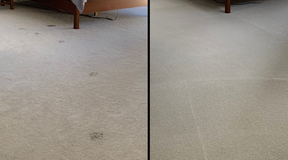 Photo of Doc's of Denver Carpet Cleaning