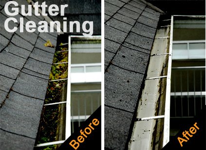Photo of Rain Gutter Cleaning