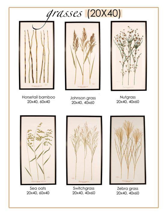 Photo of Becky Davis Botanicals