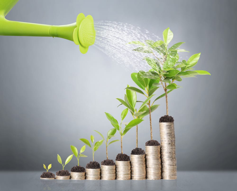 Photo of Star Business Consulting