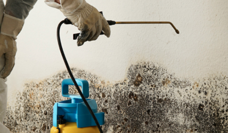 Photo of South Coast Cleaning & Restoration