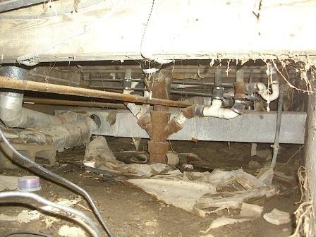 Photo of Crawlspace Doctor