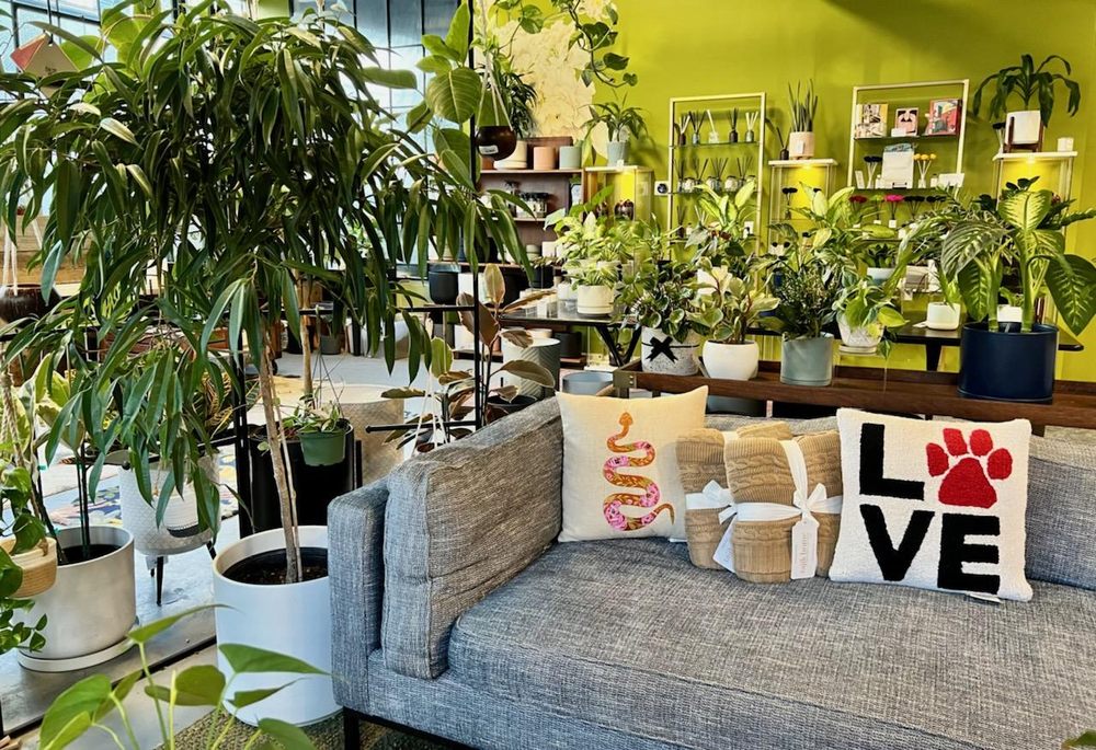 Photo of Altered Decor