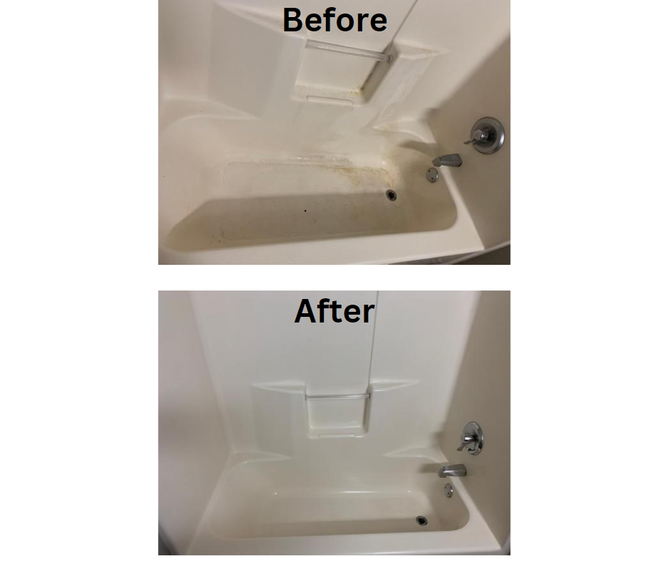 Photo of The Clean Bee