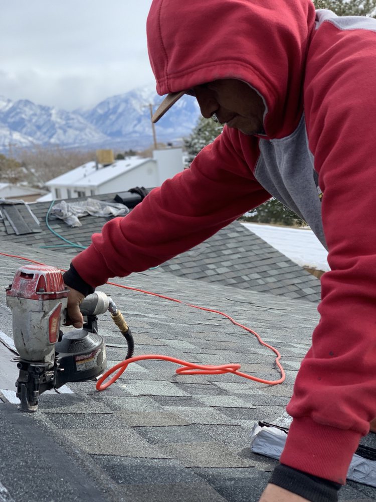 Photo of Roof-Wise
