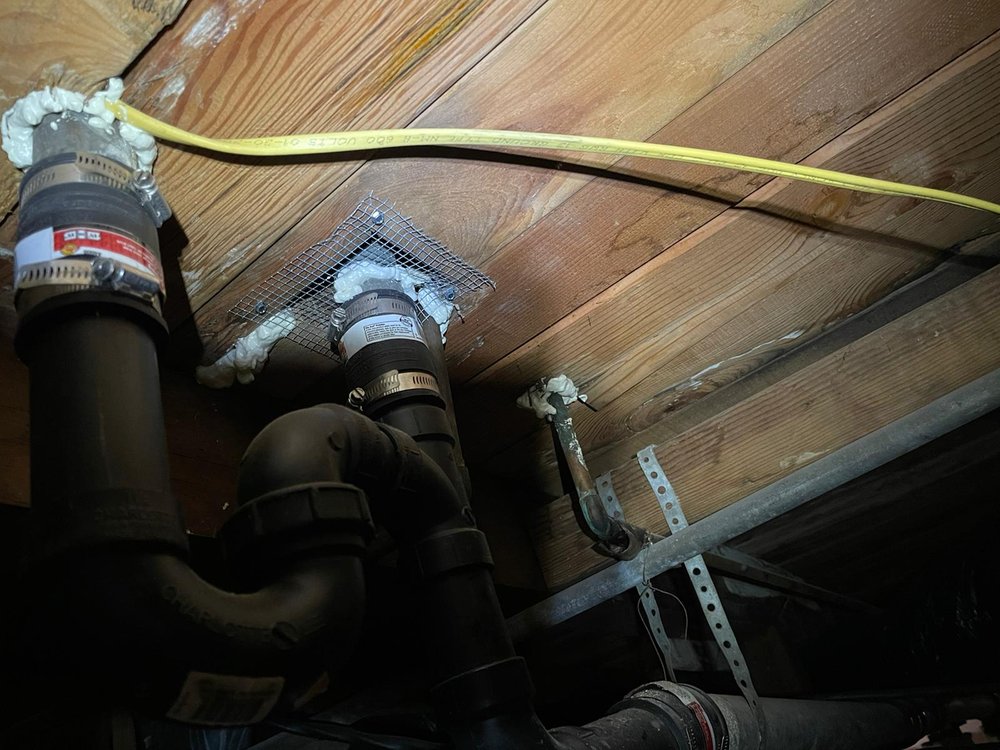 Photo of Rodent Control Santa Rosa - Pro Attic
