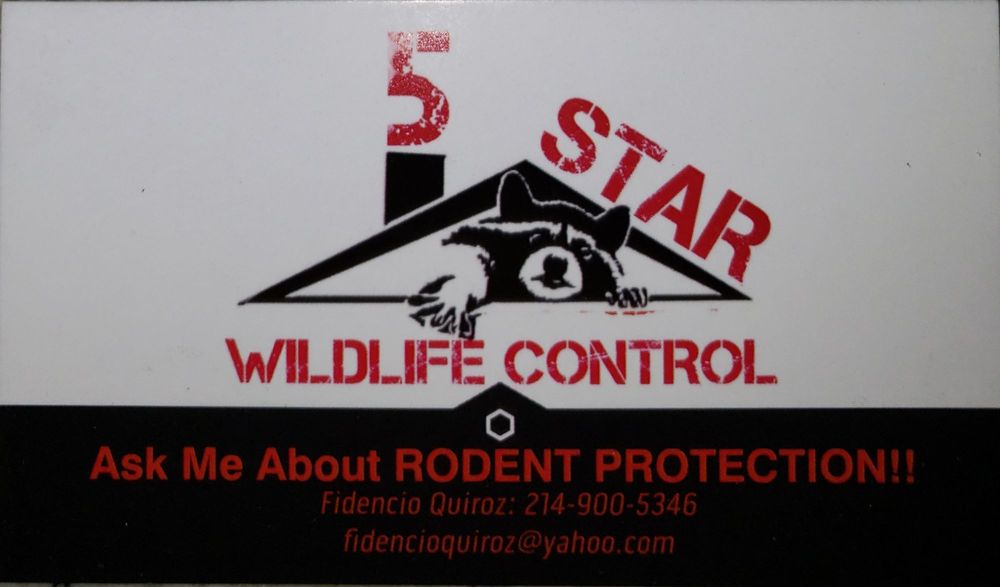 Photo of 5 Star Wildlife Control