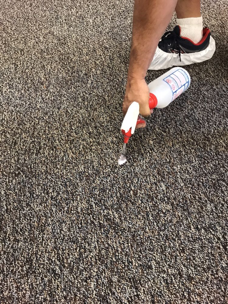 Photo of Menard's Carpet Cleaning