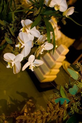 Photo of Lilly White Events