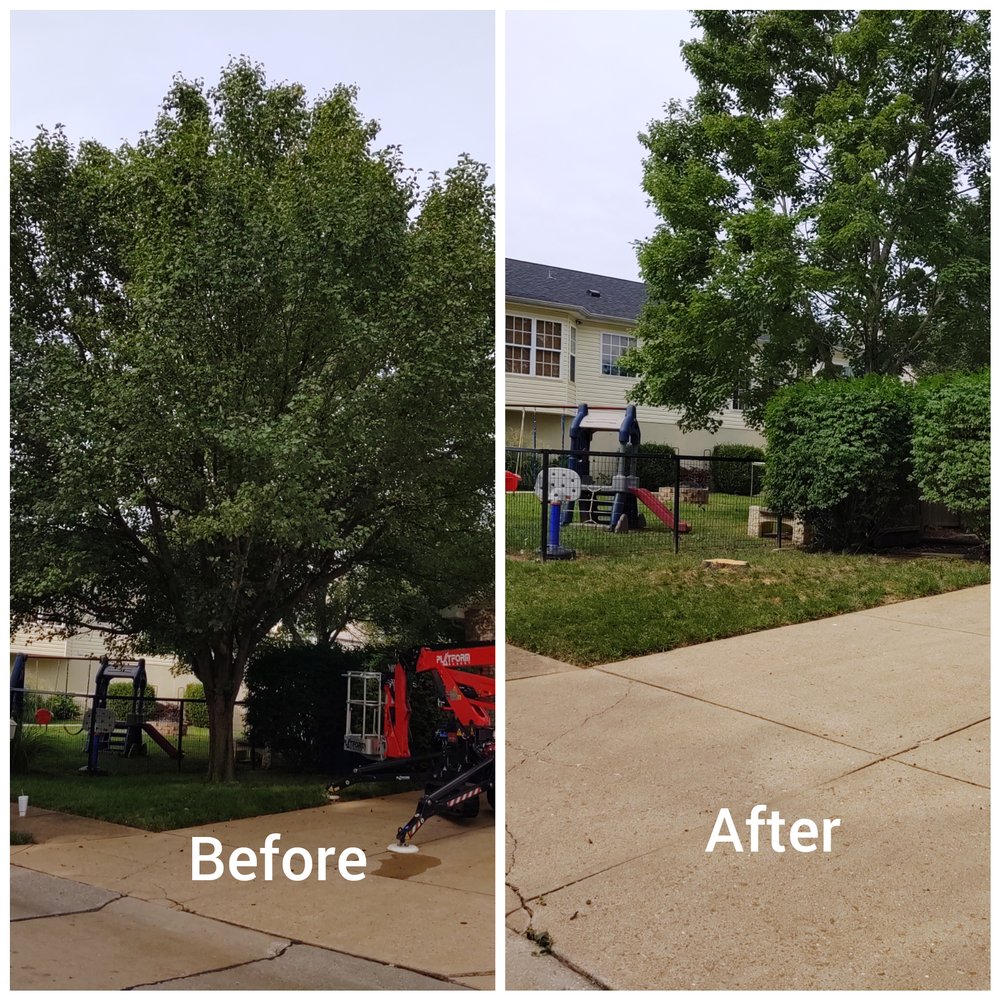 Photo of G & G Lawn Care & Tree Service