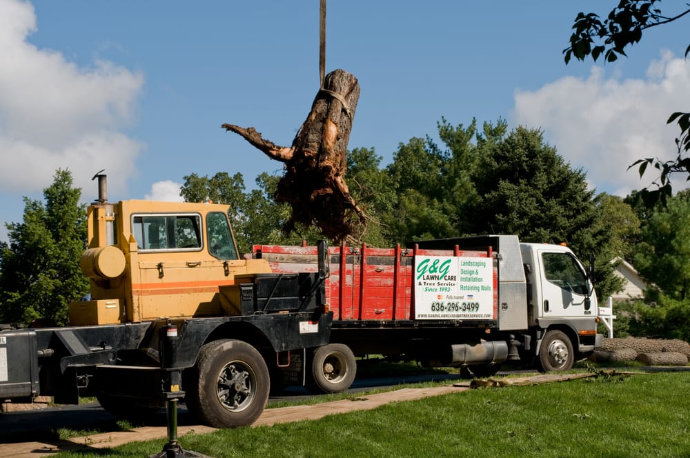 Photo of G & G Lawn Care & Tree Service