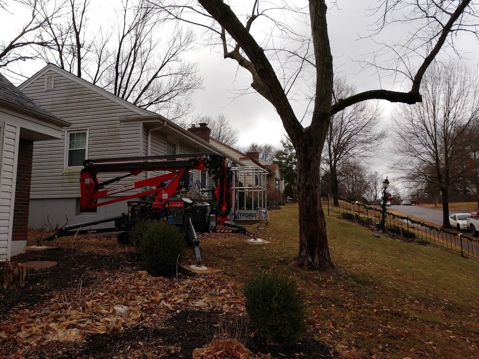 Photo of G & G Lawn Care & Tree Service