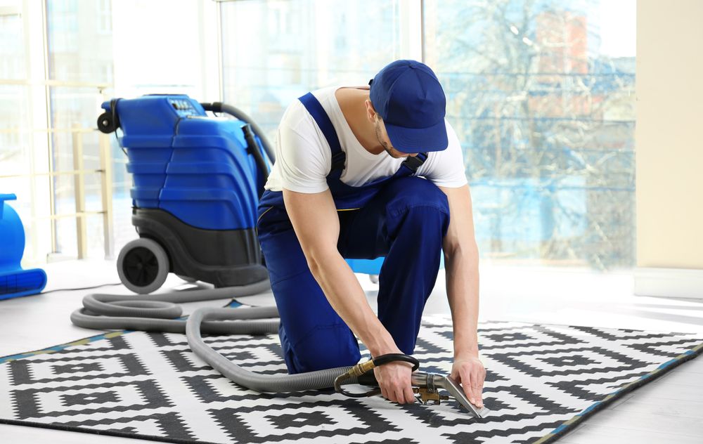 Photo of Rug Care