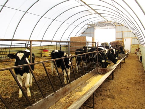 Photo of Natural Light Fabric Structures