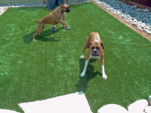 Photo of Green Surface Solutions