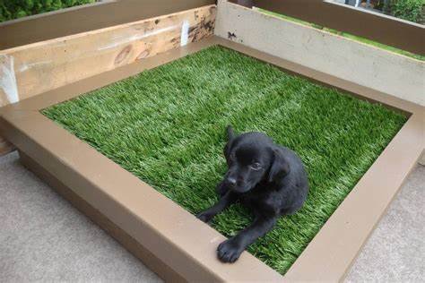Photo of Green Surface Solutions