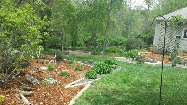 Photo of Plant Life Designs
