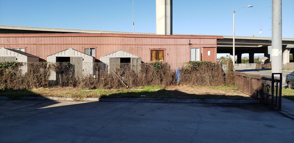 Photo of Gabriels Tree Services