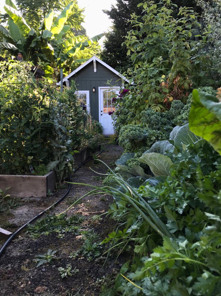 Photo of Eden's Gate Landscape Design