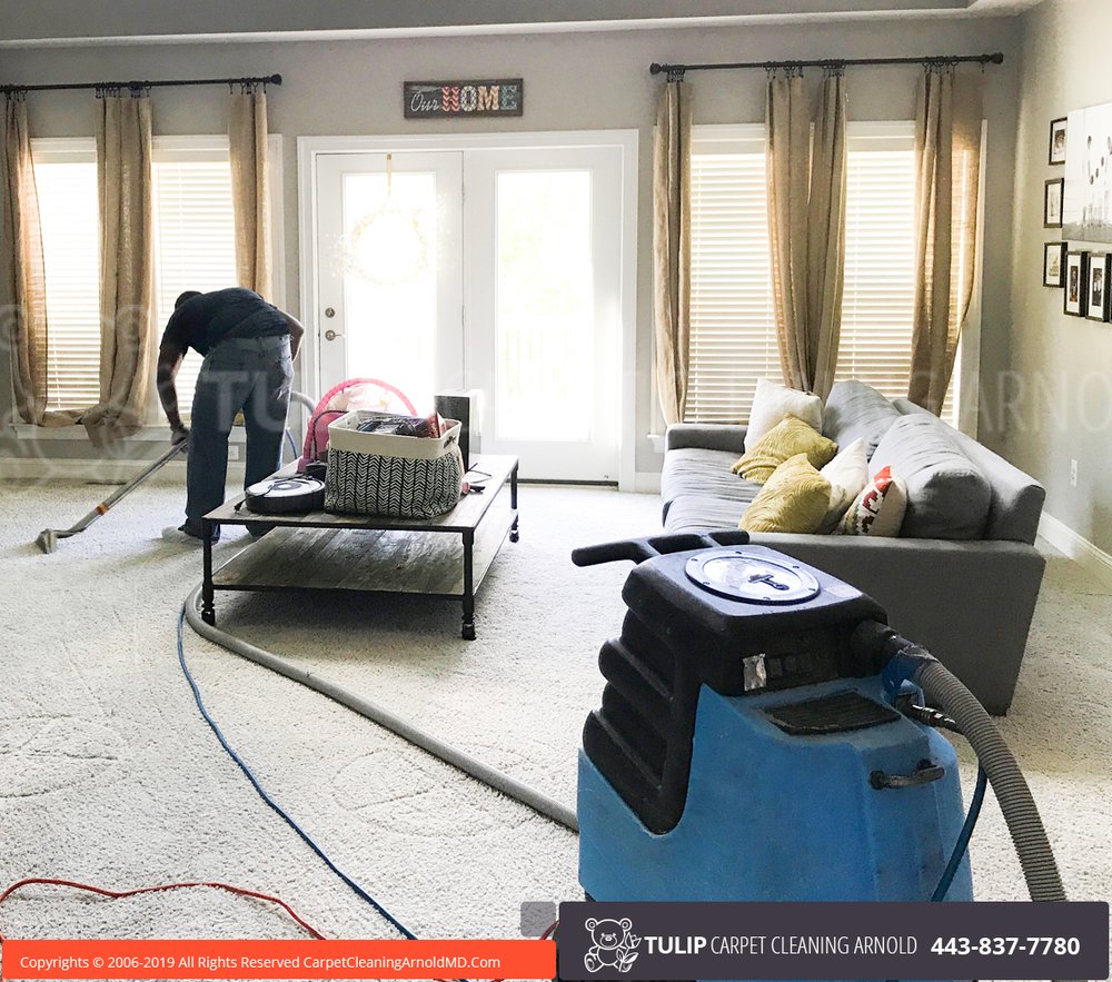 Photo of Tulip Carpet Cleaning Arnold