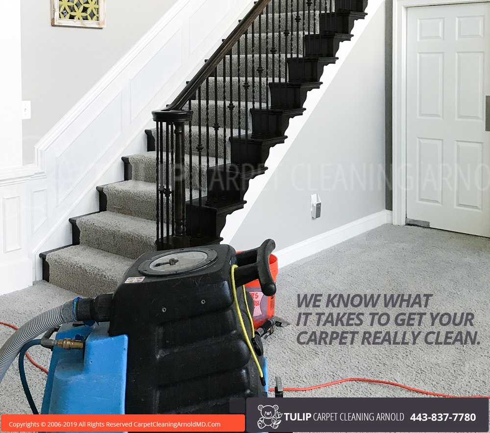 Photo of Tulip Carpet Cleaning Arnold