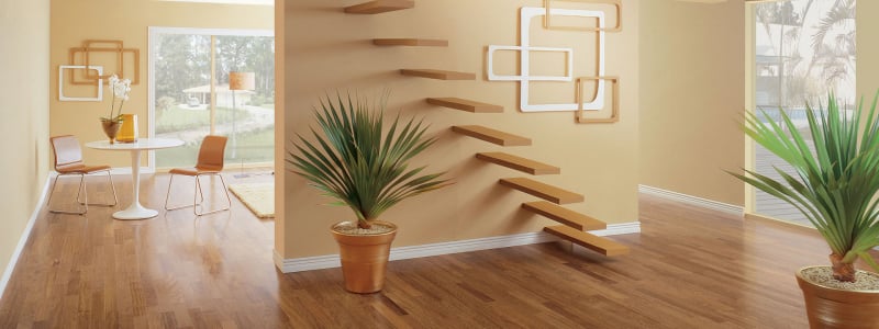 Photo of Vinny Hardwood Floors