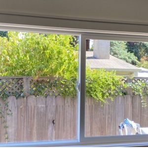 Photo of Micah's Window Cleaning