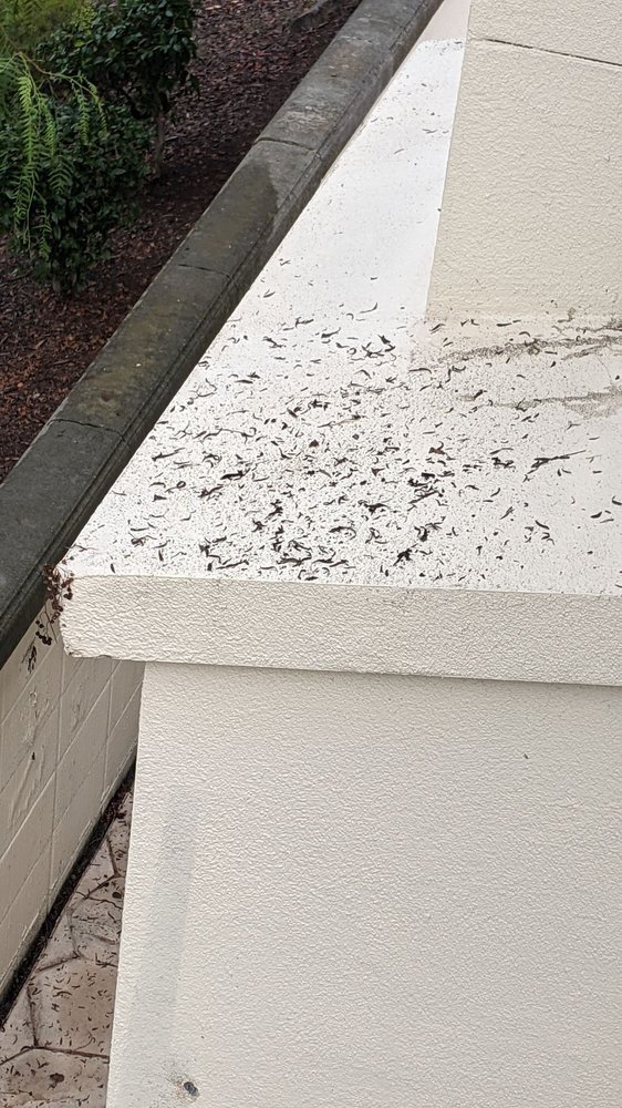 Photo of Valley Window & Gutter Cleaning