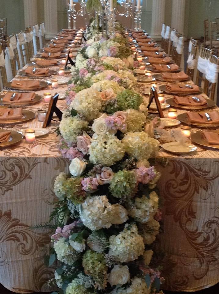 Photo of Divine Designs