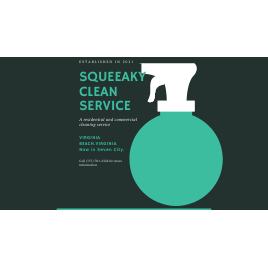 Photo of Squeeaky Clean Service