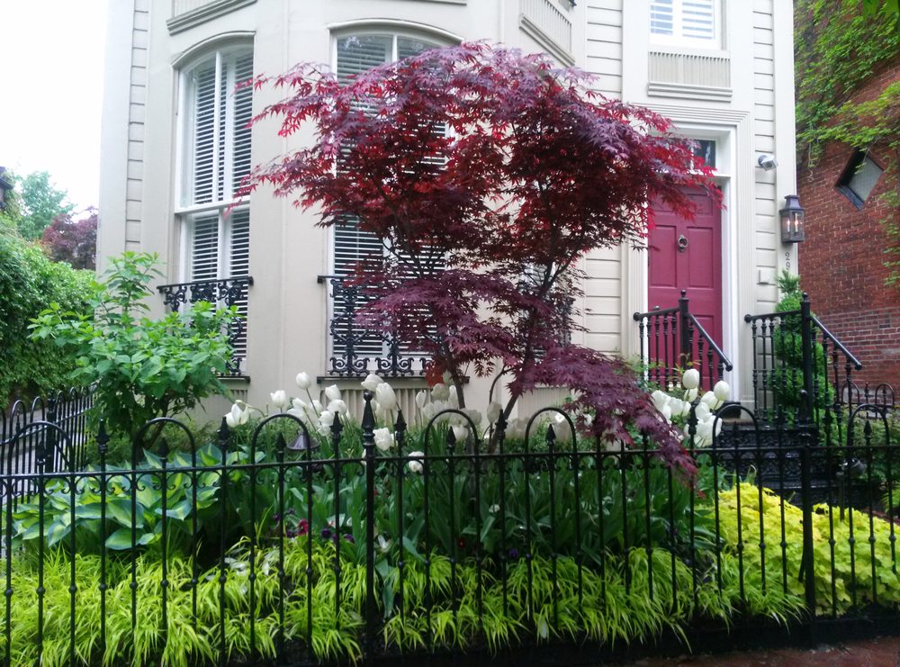 Photo of The Pampered Garden