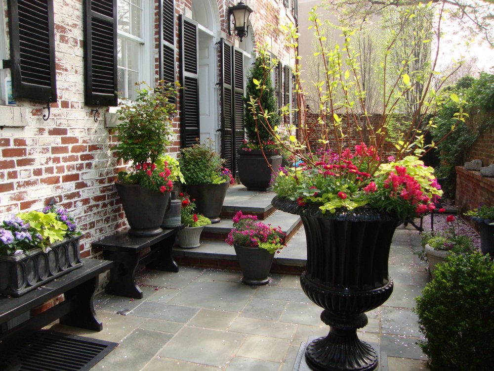 Photo of The Pampered Garden