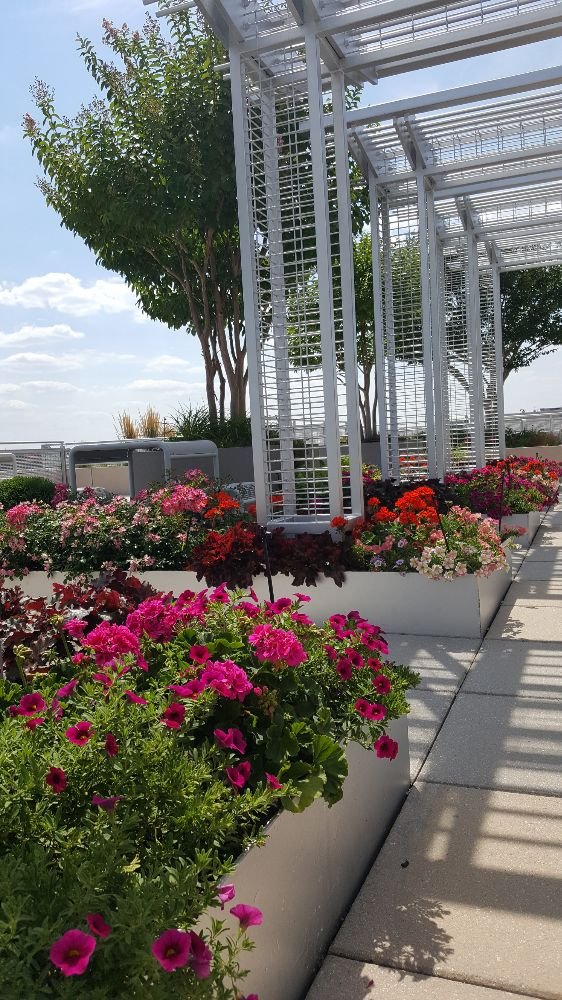 Photo of The Pampered Garden