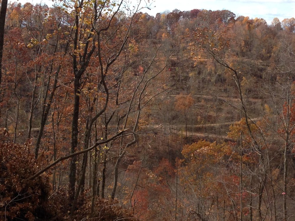 Photo of Holstine Forestry Consulting