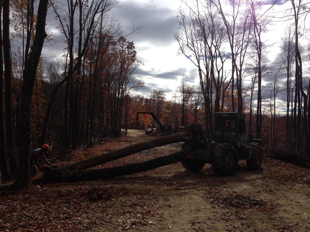 Photo of Holstine Forestry Consulting
