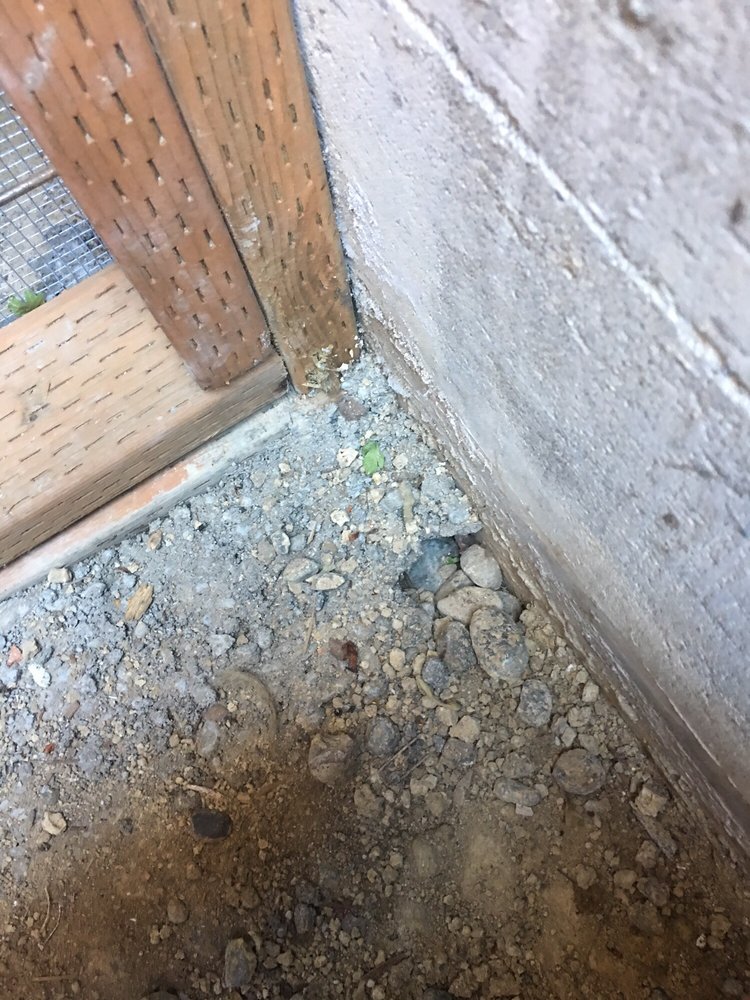 Photo of Clean Crawls - Insulation Install & Removal: Seattle