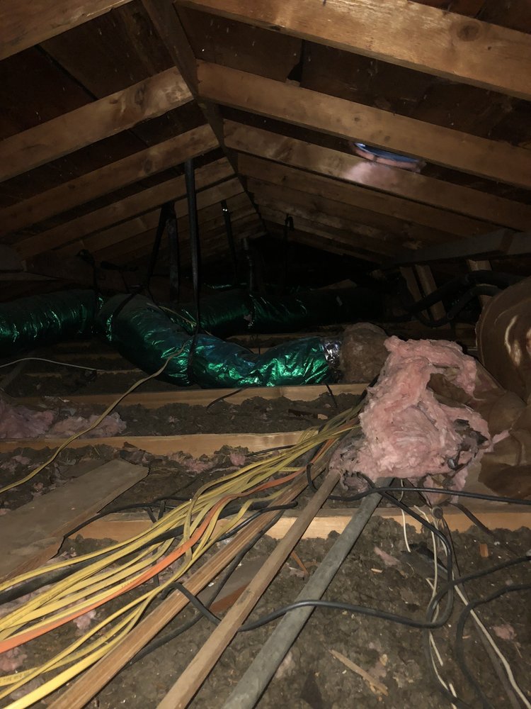 Photo of Attic Zone Insulation