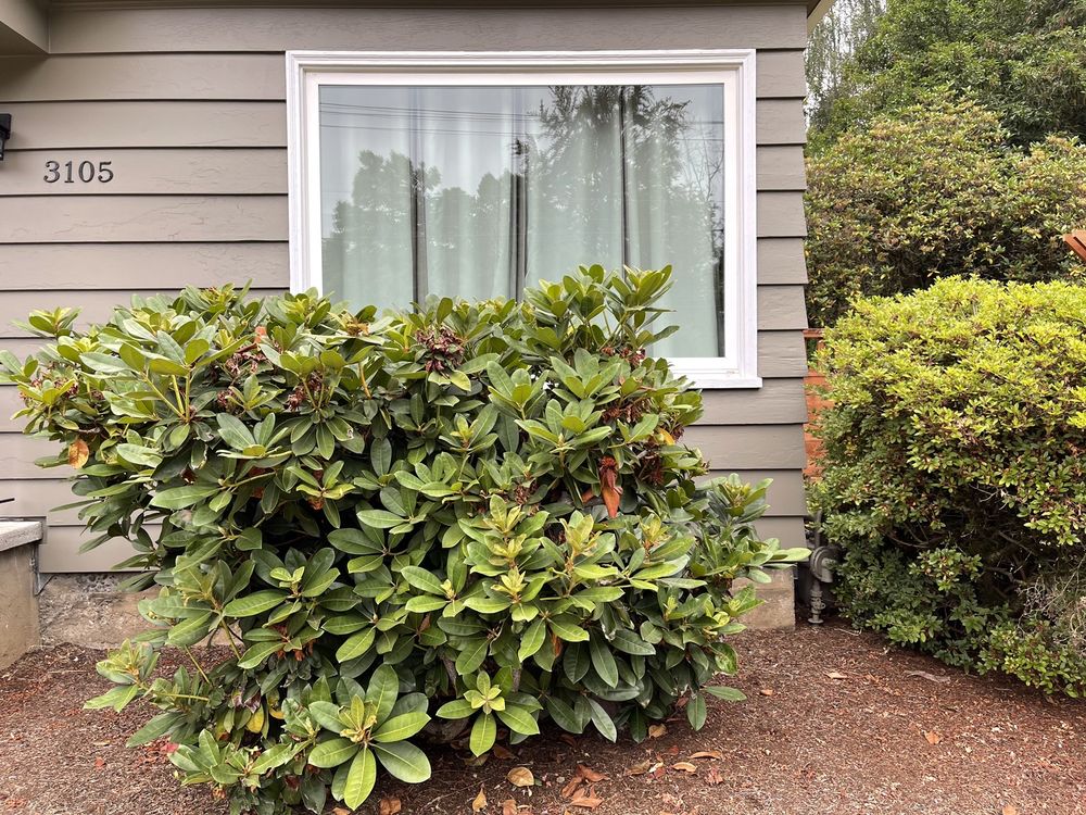 Photo of Off the Road Lawn Maintenance