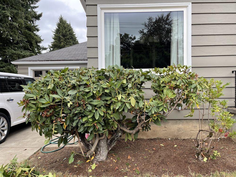 Photo of Off the Road Lawn Maintenance