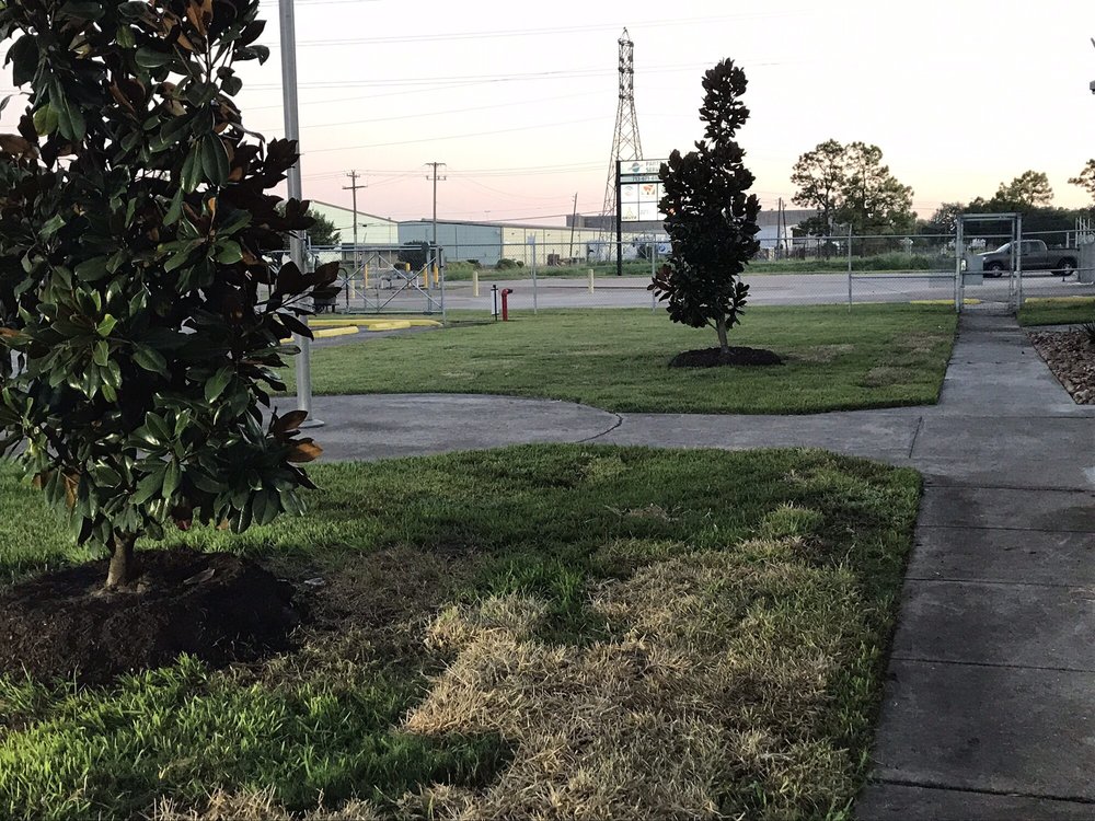 Photo of DM Landscape and Outdoor Lighting