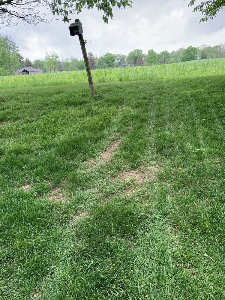 Photo of Precision Cut Lawn Service