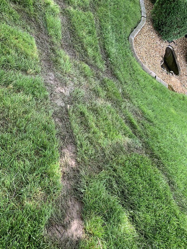Photo of Precision Cut Lawn Service