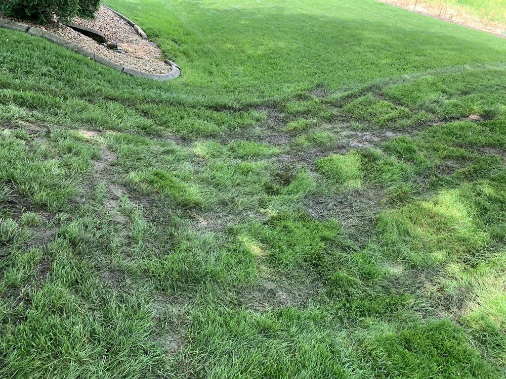 Photo of Precision Cut Lawn Service