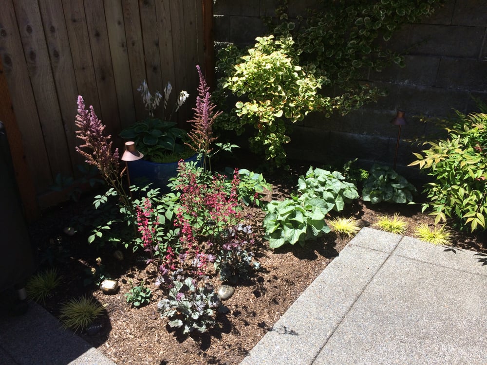 Photo of Susie Landscape Designs, LLC
